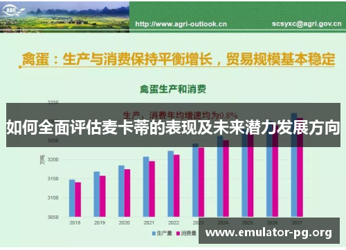 如何全面评估麦卡蒂的表现及未来潜力发展方向