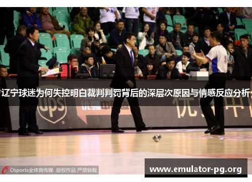 辽宁球迷为何失控明白裁判判罚背后的深层次原因与情感反应分析